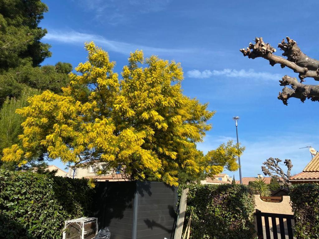 Casa Jamaro 2 Villa Leucate Eksteriør billede
